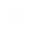 Starlight Resonation